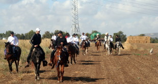 Photos from the first day of horse riding to Rehaniya