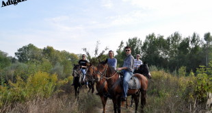 Photos of horse riding in Maykop, Adygea