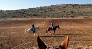 Photos of horse riding to Mount Turan