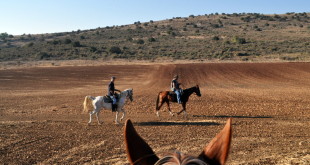 תמונות מהרכיבה להר תורען